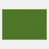 Conifer Green Inpakpapier Vel (Voorkant)