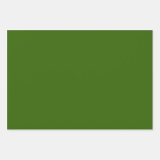 Conifer Green Inpakpapier Vel (Voorkant)