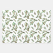 Conifer, pijnboomgaren en kegels inpakpapier vel (Voorkant)