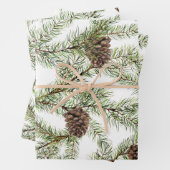 Conifer, twijgen en kegels inpakpapier vel (In situ)