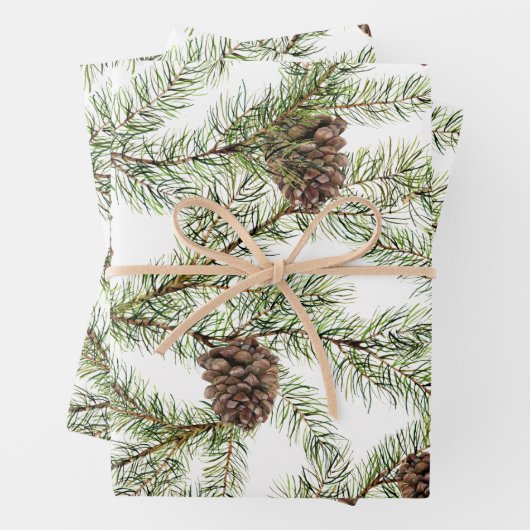 Conifer, twijgen en kegels inpakpapier vel (In situ)