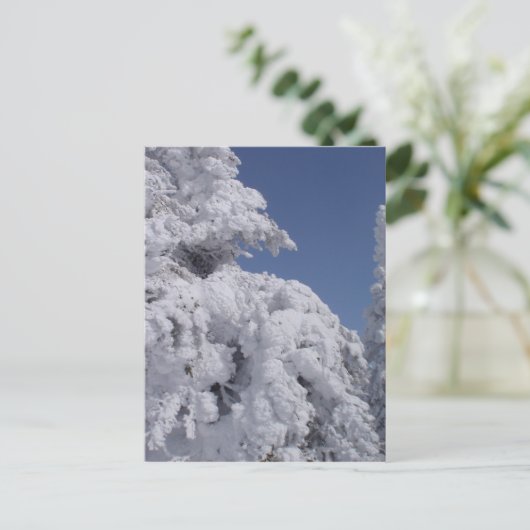 Coniferbomen met sneeuw briefkaart (Staand voorkant)
