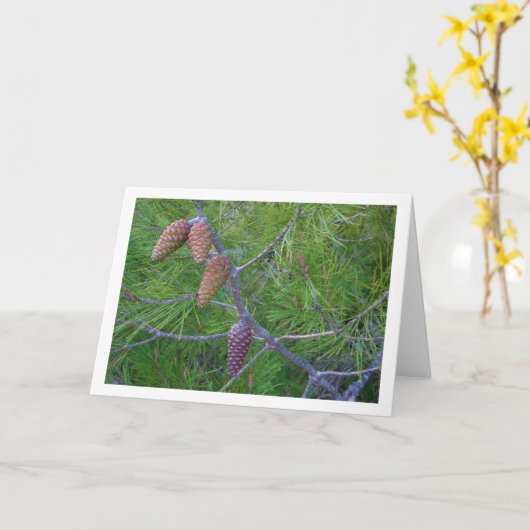 Coniferenappels op Grove Den Kaart (Gele Bloem)