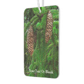 Coniferonen en naalden luchtverfrisser (Links)