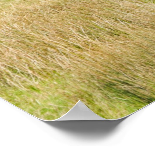 Coniston Water Briefkaart Cushion Poster (Hoek)