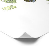 Conium maculatum poster (Hoek)