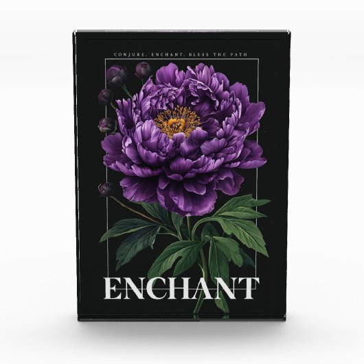 Conjure Enchant Bless de Weg Paarse Pioen Fotoblokken (Voorkant)