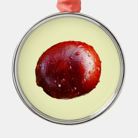 Conker Ornament (Voorkant)