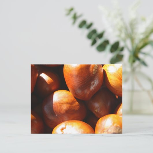 Conkers Briefkaart (Staand voorkant)