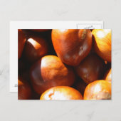 Conkers Briefkaart (Voorkant / Achterkant)