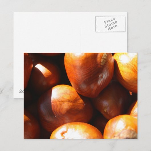 Conkers Briefkaart (Voorkant / Achterkant)