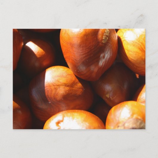 Conkers Briefkaart (Voorkant)