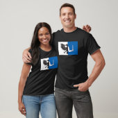 Connacht Flag T-shirt (Unisex)