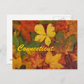 Connecticut Autumn Leaves Briefkaart (Voorkant / Achterkant)
