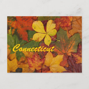 Connecticut Autumn Leaves Briefkaart