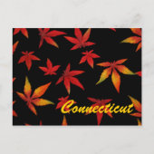 Connecticut Autumn Leaves Briefkaart (Voorkant)