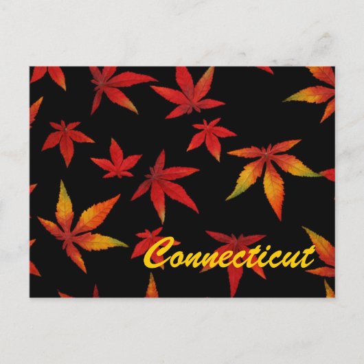 Connecticut Autumn Leaves Briefkaart (Voorkant)