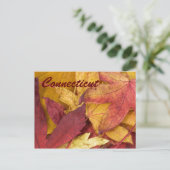 Connecticut Autumn Leaves Briefkaart (Staand voorkant)