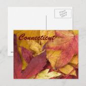 Connecticut Autumn Leaves Briefkaart (Voorkant / Achterkant)