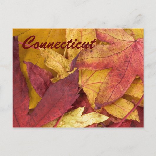 Connecticut Autumn Leaves Briefkaart (Voorkant)