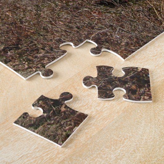 Connecticut Beach Legpuzzel (Zijkant)
