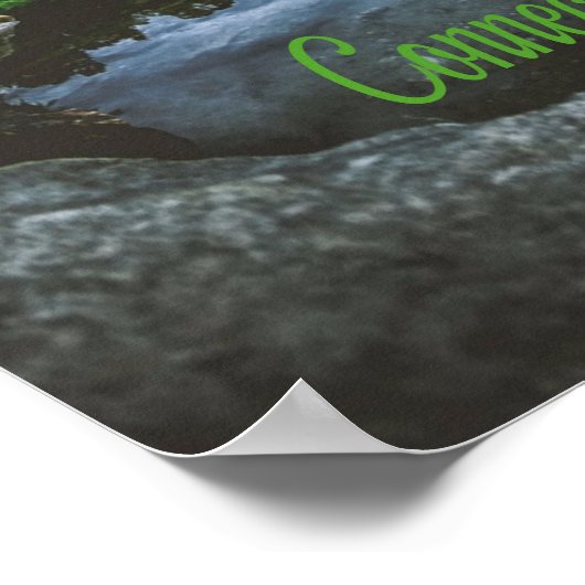 Connecticut Beuece Lake Trees Poster (Hoek)