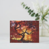 Connecticut: Darien, Japanse aple 'Acer Briefkaart (Staand voorkant)