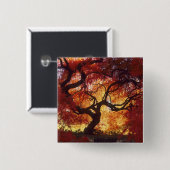 Connecticut: Darien, Japanse aple 'Acer Vierkante Button 5,1 Cm (Voorkant /achterkant)