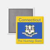 Connecticut Flag Magnet (Voorkant / Achterkant)