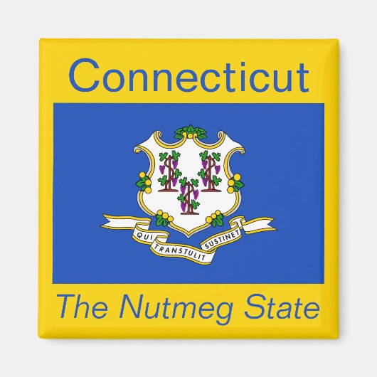 Connecticut Flag Magnet (Voorkant)