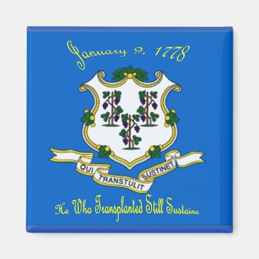 Connecticut Flag Magnet (Voorkant)