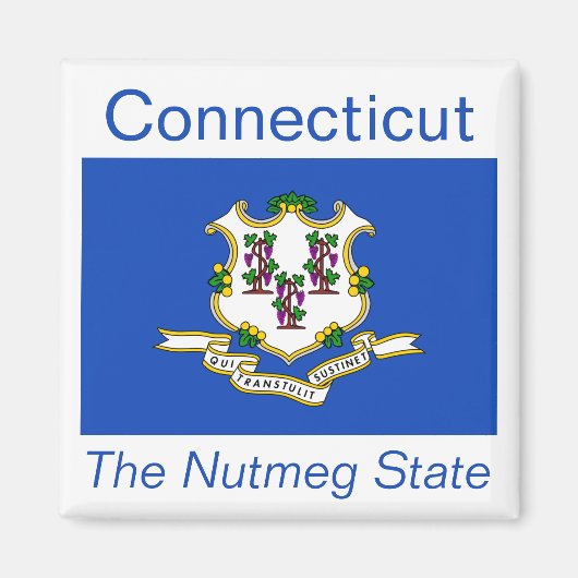 Connecticut Flag Magnet (Voorkant)
