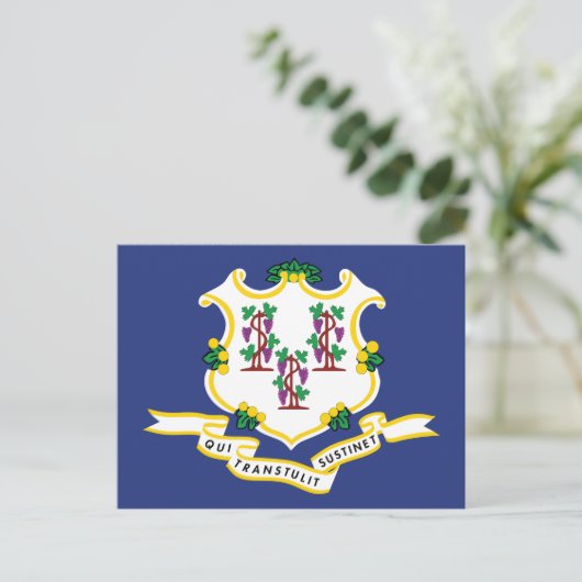 Connecticut Flag Souvenir Nutmeg State Shield Briefkaart (Staand voorkant)