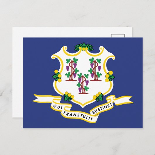 Connecticut Flag Souvenir Nutmeg State Shield Briefkaart (Voorkant / Achterkant)