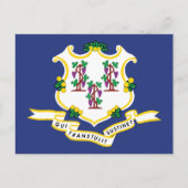 Connecticut Flag Souvenir Nutmeg State Shield Briefkaart (Voorkant)