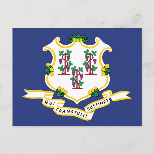 Connecticut Flag Souvenir Nutmeg State Shield Briefkaart (Voorkant)