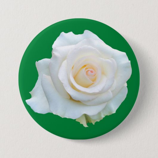 Connecticut Heks Trial Memorial Button (Voorkant)