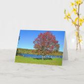 Connecticut Kaart (Gele Bloem)