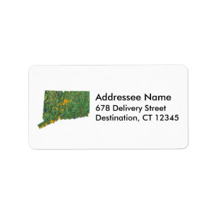 Connecticut Map-adreslabel Etiket