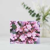 Connecticut Mountain Laurel Briefkaart (Staand voorkant)