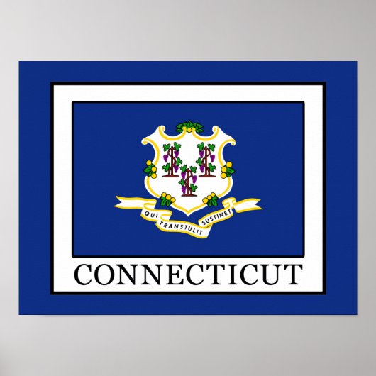 Connecticut Poster (Voorkant)