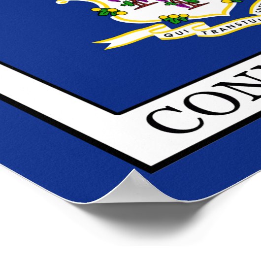 Connecticut Poster (Hoek)