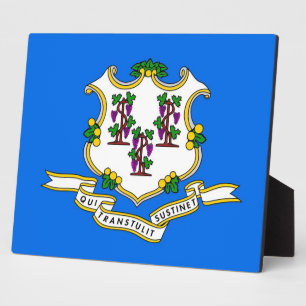 Connecticut Staat Plaquette Fotoplaat