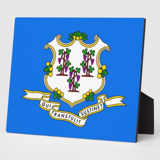 Connecticut Staat Plaquette Fotoplaat (Zijkant)
