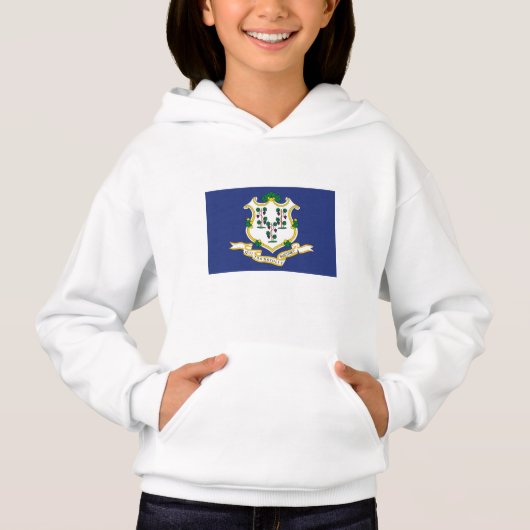 Connecticut Staatsvlag (Voorkant)