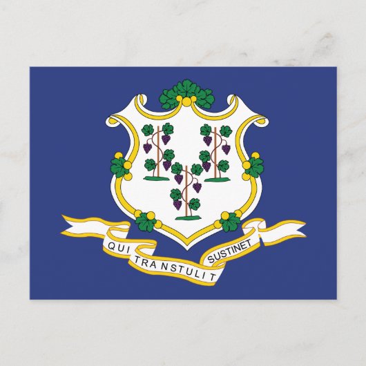 Connecticut Staatsvlag Briefkaart (Voorkant)
