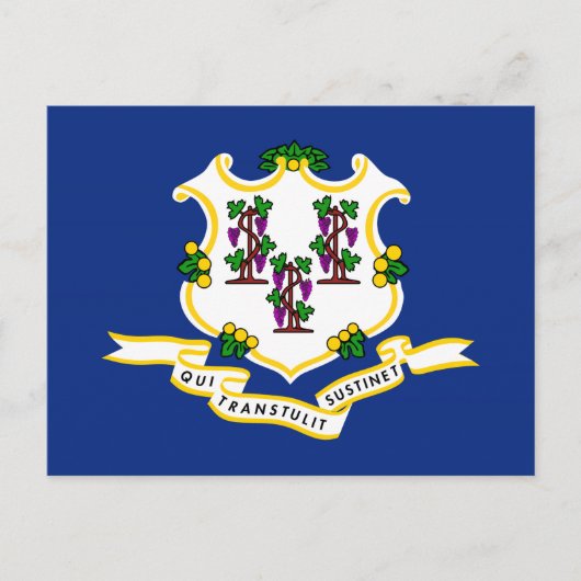Connecticut Staatsvlag Briefkaart (Voorkant)