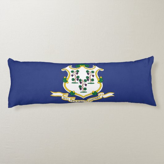 Connecticut Staatsvlag Lichaamskussen (Achterkant)