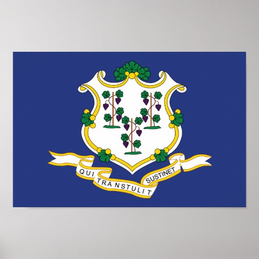 Connecticut Staatsvlag Poster (Voorkant)