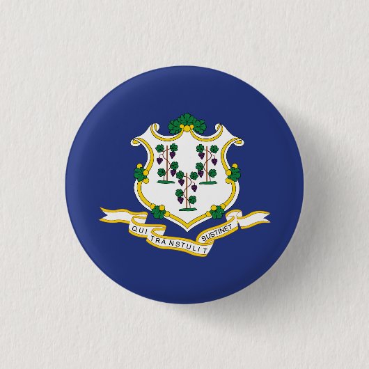 Connecticut Staatsvlag Ronde Button 3,2 Cm (Voorkant)